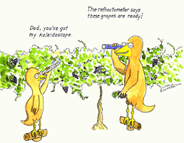 Fractometer Kid Cartoon