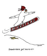 Winebird skiing